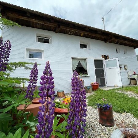 Casa De Oaspeti Cristina Fitod Exterior photo